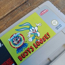 Buster Busts Loose - Nintendo 1992