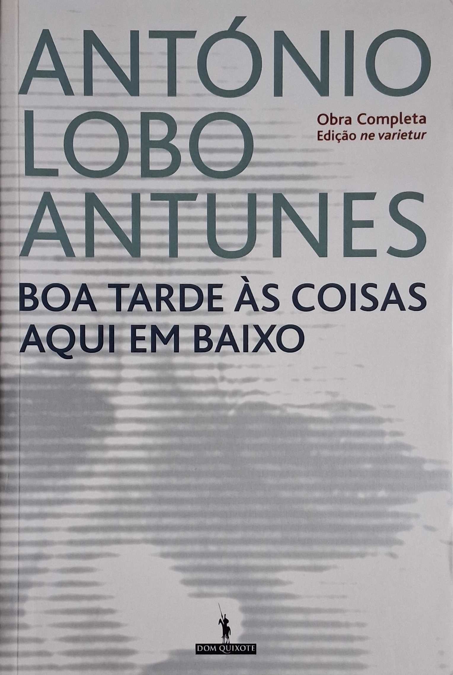 BOA TARDE ÀS COISAS AQUI EM BAIXO
