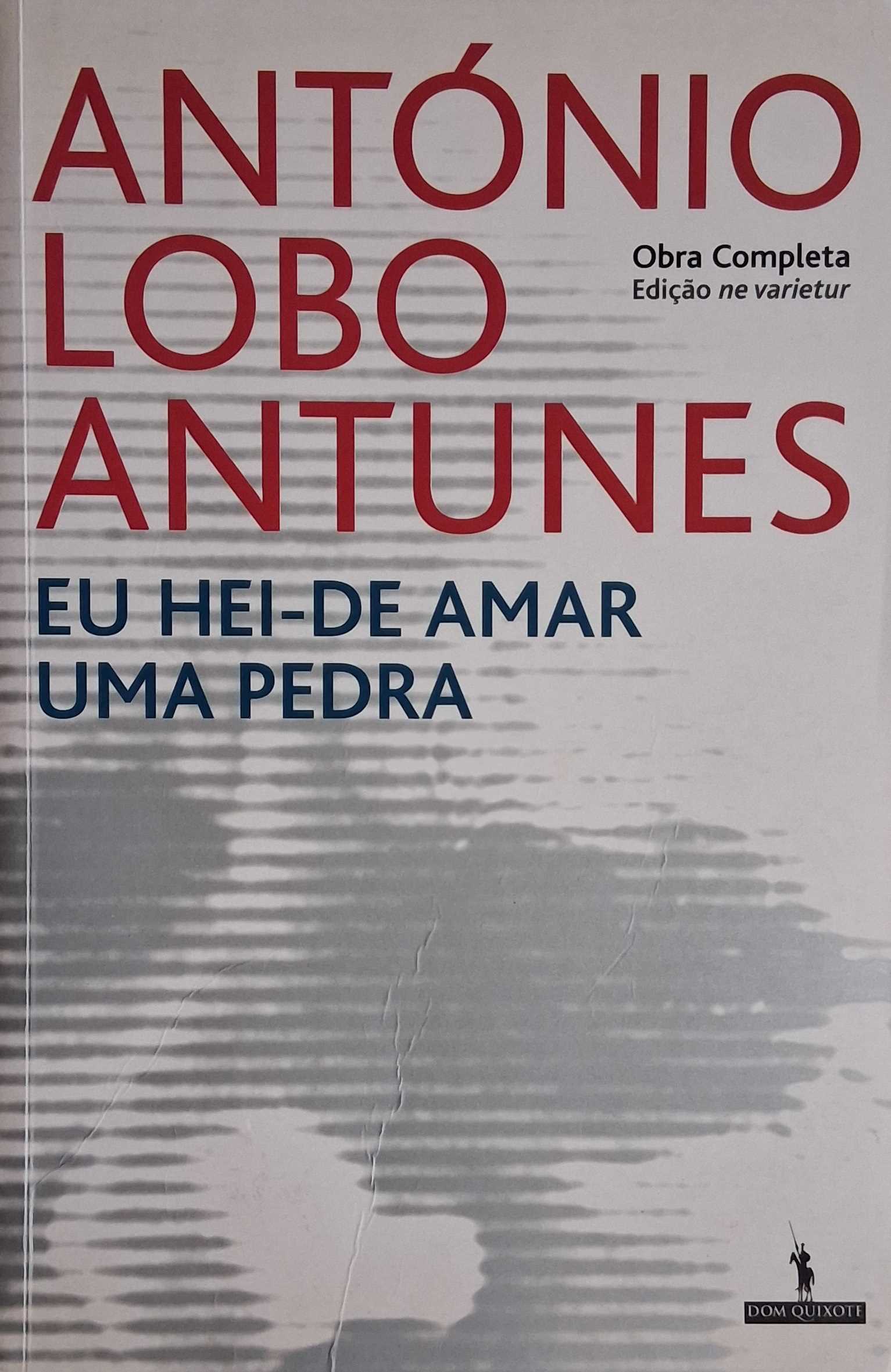 EU HEI-DE AMAR UMA PEDRA