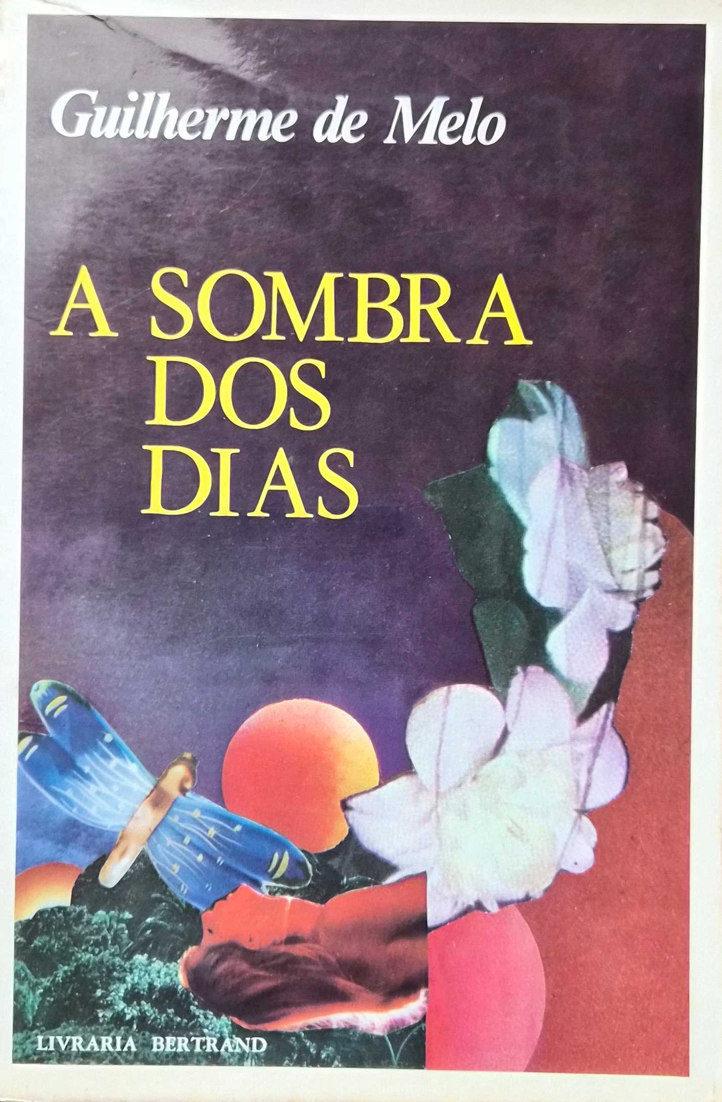 A SOMBRA DOS DIAS